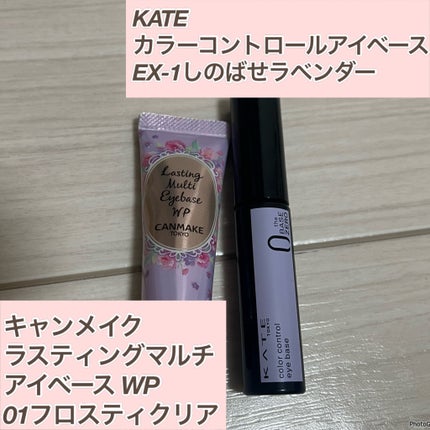 ラスティングマルチアイベース WP/キャンメイク/アイシャドウベースを使ったクチコミ(2枚目)