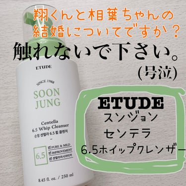 スンジョンセンテラ6.5ホイップクレンザー/ETUDE/泡洗顔を使ったクチコミ（1枚目）
