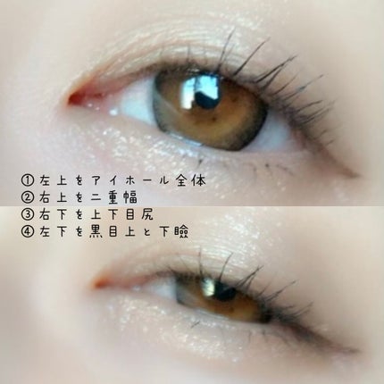 アニマルアイシャドウ(4シェード)/ZEESEA/アイシャドウパレットを使ったクチコミ(2枚目)