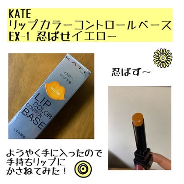 リップカラーコントロールベース /KATE/リップケア・リップクリームを使ったクチコミ（1枚目）