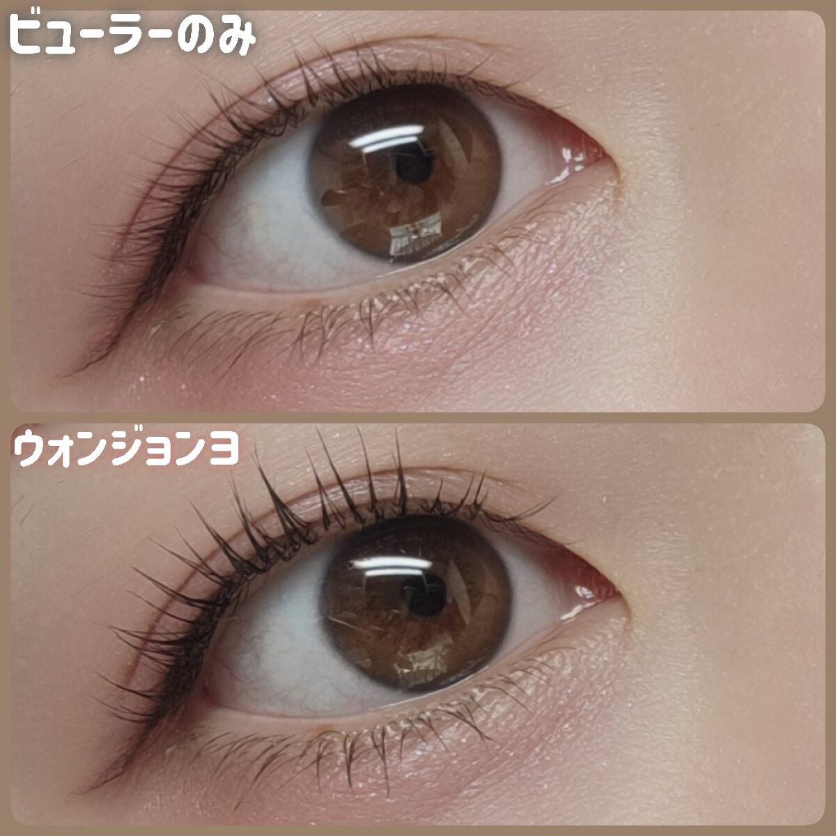 ウォンジョンヨ ヌードアイラッシュ/Wonjungyo/マスカラを使ったクチコミ(8枚目)