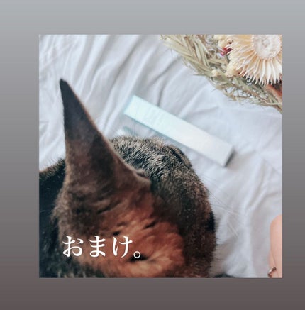 を使ったクチコミ(3枚目)