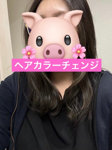 \カラーチェンジ備忘録/







やっとこさ美容室に行けた💇‍♀️

ボサ頭から解放された。




とにかく暗髪で透明感が欲しかった。

ブリーチなしハイライト！
アッシュグレージュで透明感🥹
