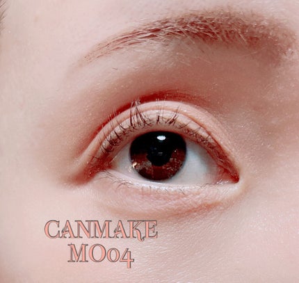 シルキースフレアイズ(マットタイプ)/キャンメイク/アイシャドウパレットを使ったクチコミ(4枚目)