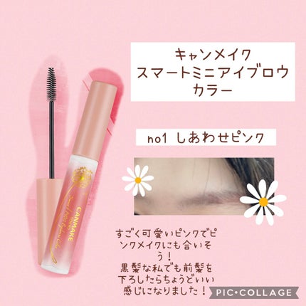 スマートミニアイブロウカラー/キャンメイク/眉マスカラを使ったクチコミ(2枚目)