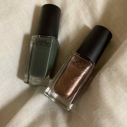 ネイルホリック Earth color/ネイルホリック/マニキュアを使ったクチコミ(1枚目)