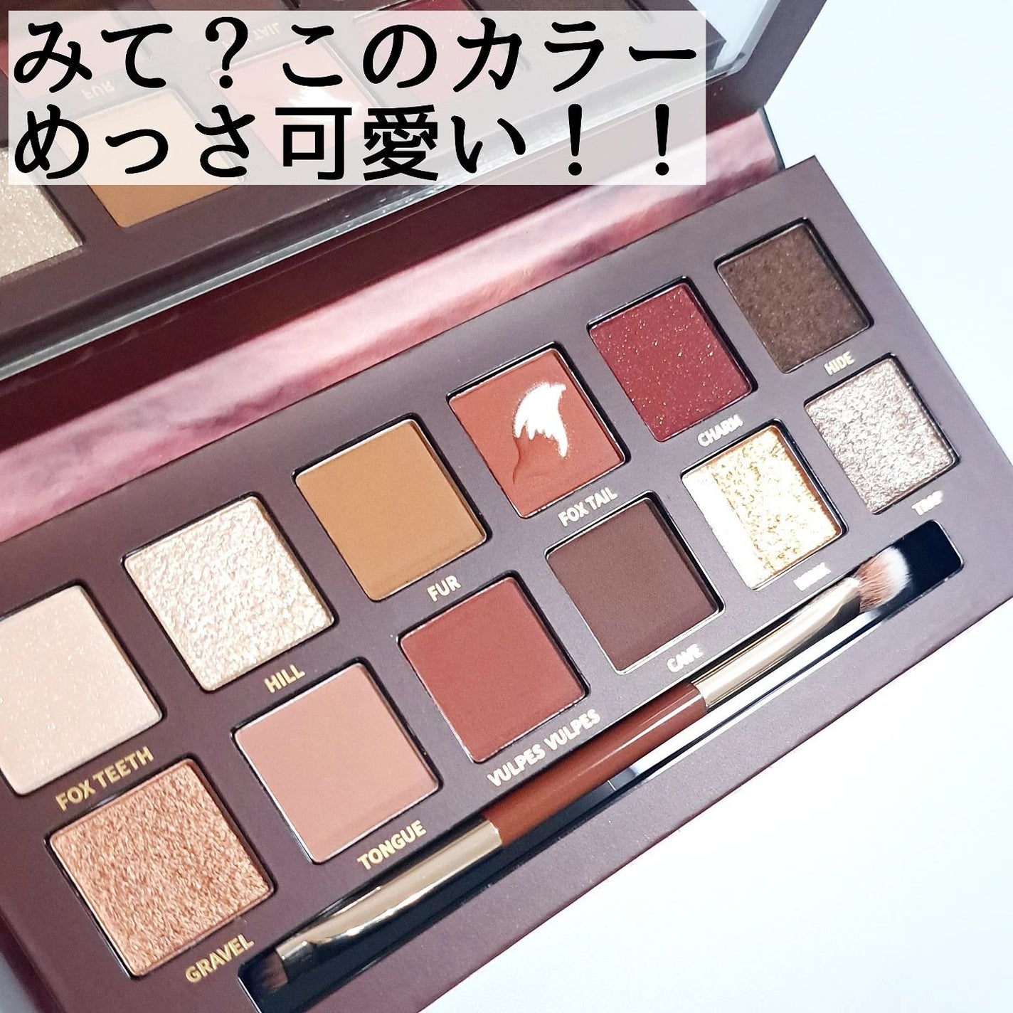 エクスプローラ12色 動物アイシャドウパレット/PERFECT DIARY/アイシャドウパレットを使ったクチコミ(3枚目)