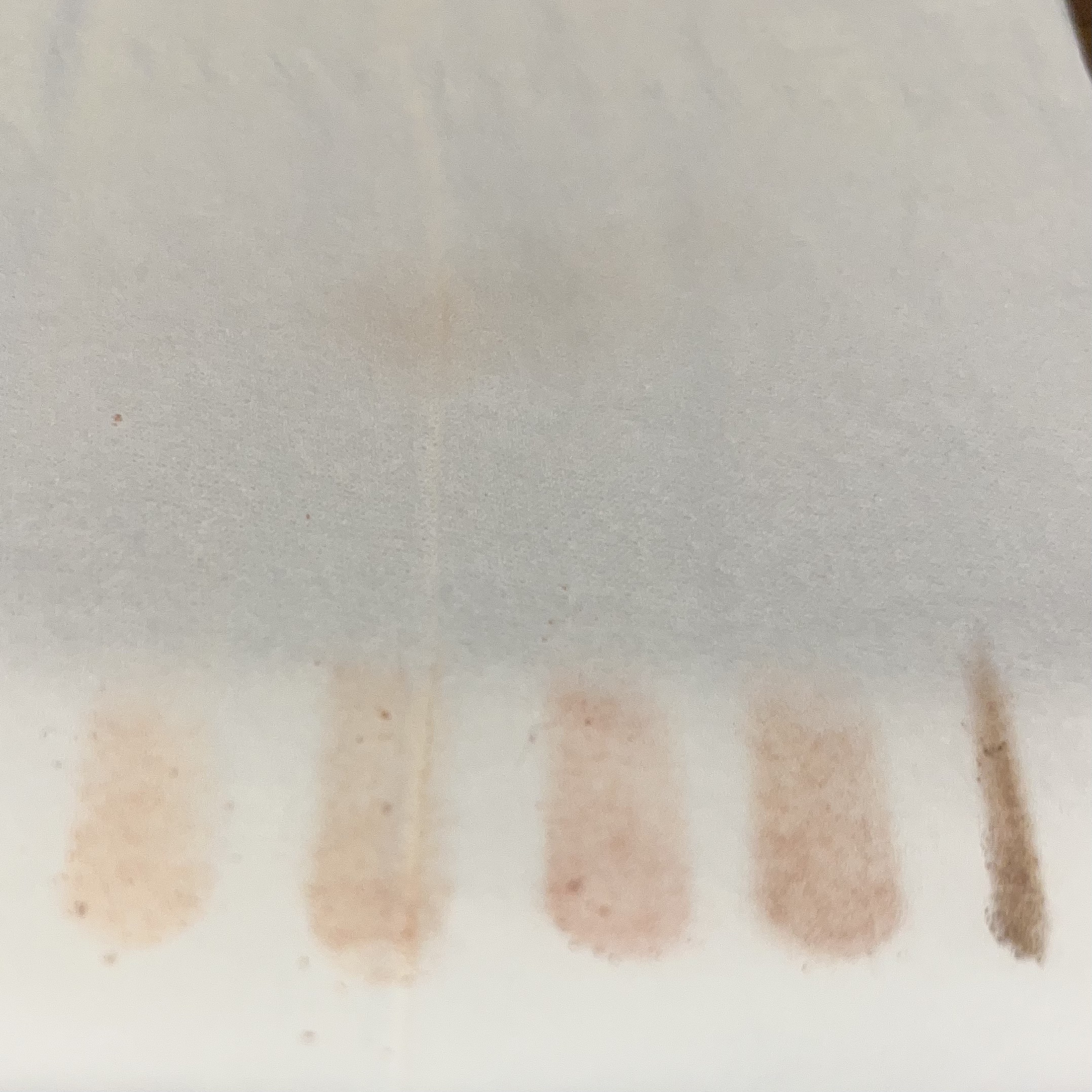 ペリペラ インク ポケット シャドウ パレット/PERIPERA/アイシャドウパレットを使ったクチコミ（2枚目）