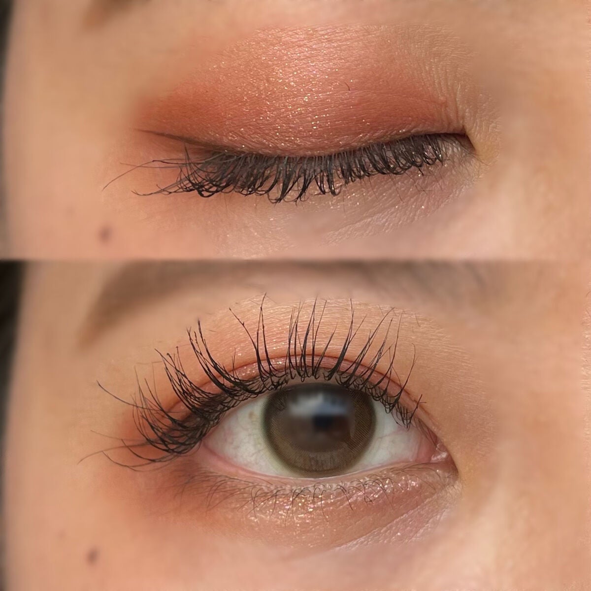 3CE ミニ マルチアイカラーパレット/3CE/アイシャドウパレットを使ったクチコミ(3枚目)