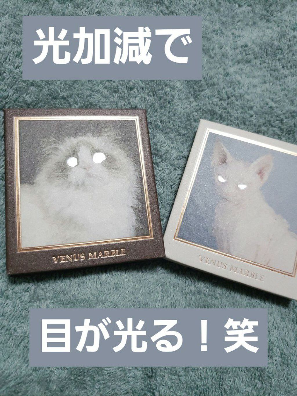 Venus Marble アイシャドウキャットシリーズ/Venus Marble/アイシャドウパレットを使ったクチコミ(2枚目)