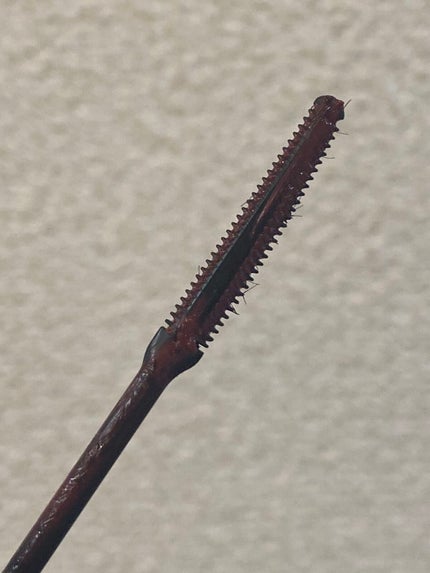 耐久カールマスカラ/CEZANNE/マスカラを使ったクチコミ(3枚目)