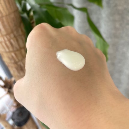 ハンドクリーム/マテリアプリマ/ハンドクリームを使ったクチコミ(2枚目)