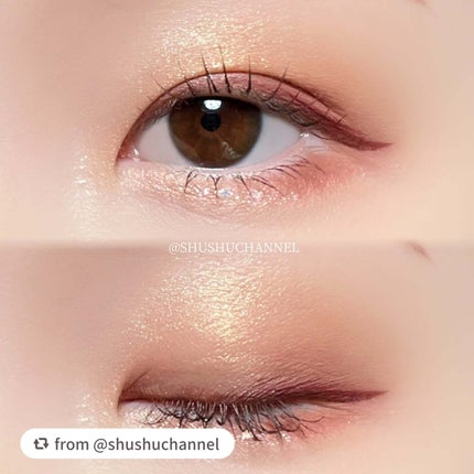 エクスプローラ12色 動物アイシャドウパレット/PERFECT DIARY/アイシャドウパレットを使ったクチコミ(3枚目)