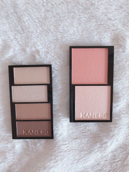 レイヤードカラーズアイシャドウ/KANEBO/アイシャドウパレットを使ったクチコミ(1枚目)