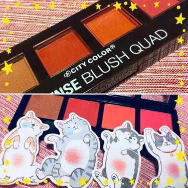 INTENSE BLUSH QUAD /City Cosmetics/パウダーチークを使ったクチコミ（1枚目）