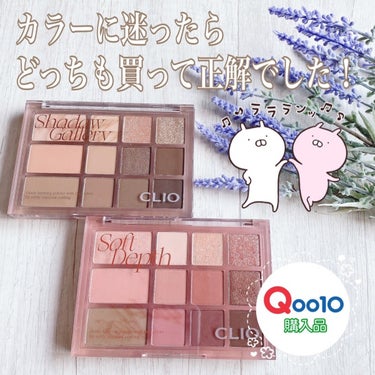 シェード アンド シャドウ パレット 02 SOFT DEPTH/CLIO/アイシャドウパレットを使ったクチコミ（1枚目）