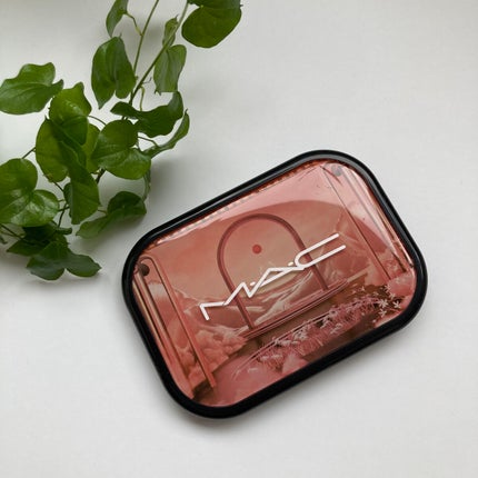 コネクト イン カラー アイシャドウ パレット × 6/M・A・C/アイシャドウパレットを使ったクチコミ(1枚目)