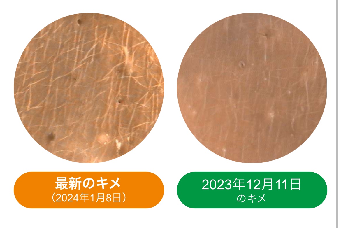 ルミエール ヴァイタルC/FEMMUE/ブースター・導入液を使ったクチコミ（3枚目）