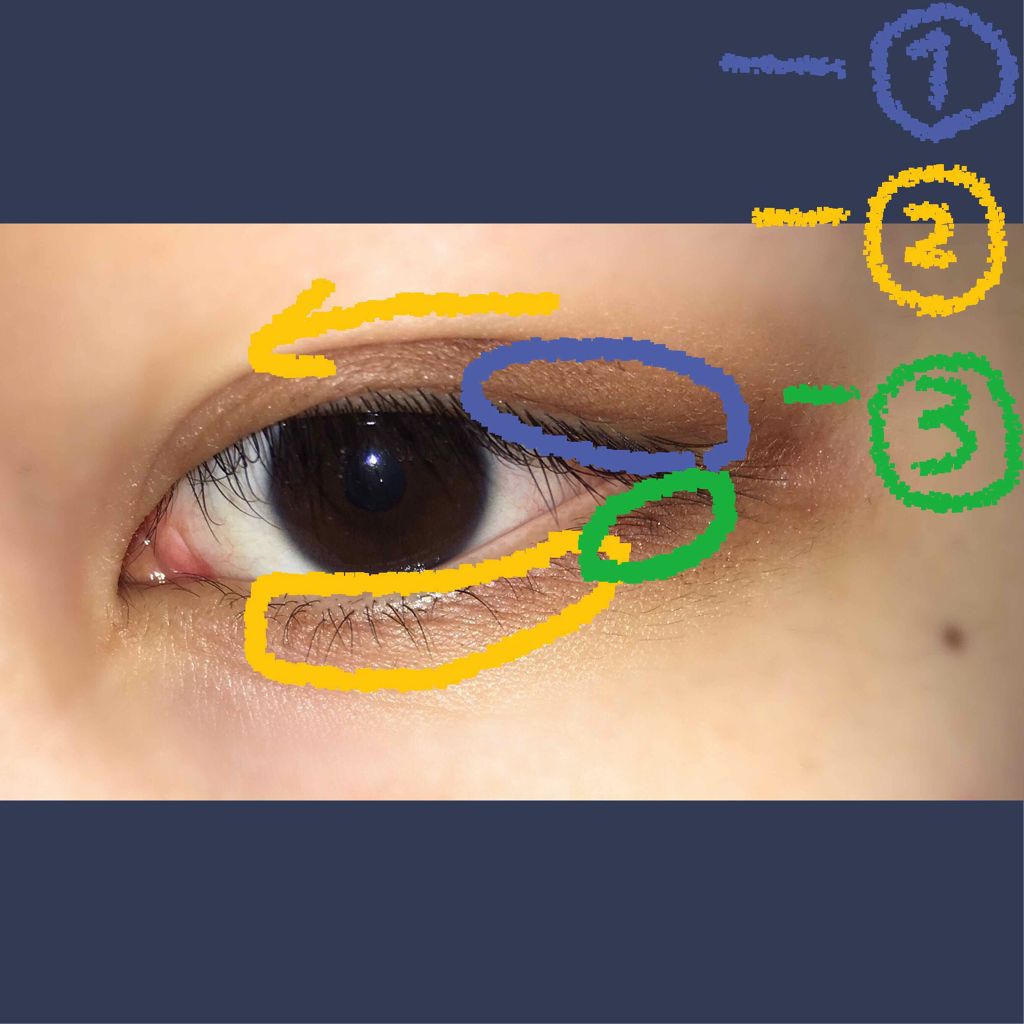 パーフェクトマルチアイズ/キャンメイク/アイシャドウパレットを使ったクチコミ(3枚目)