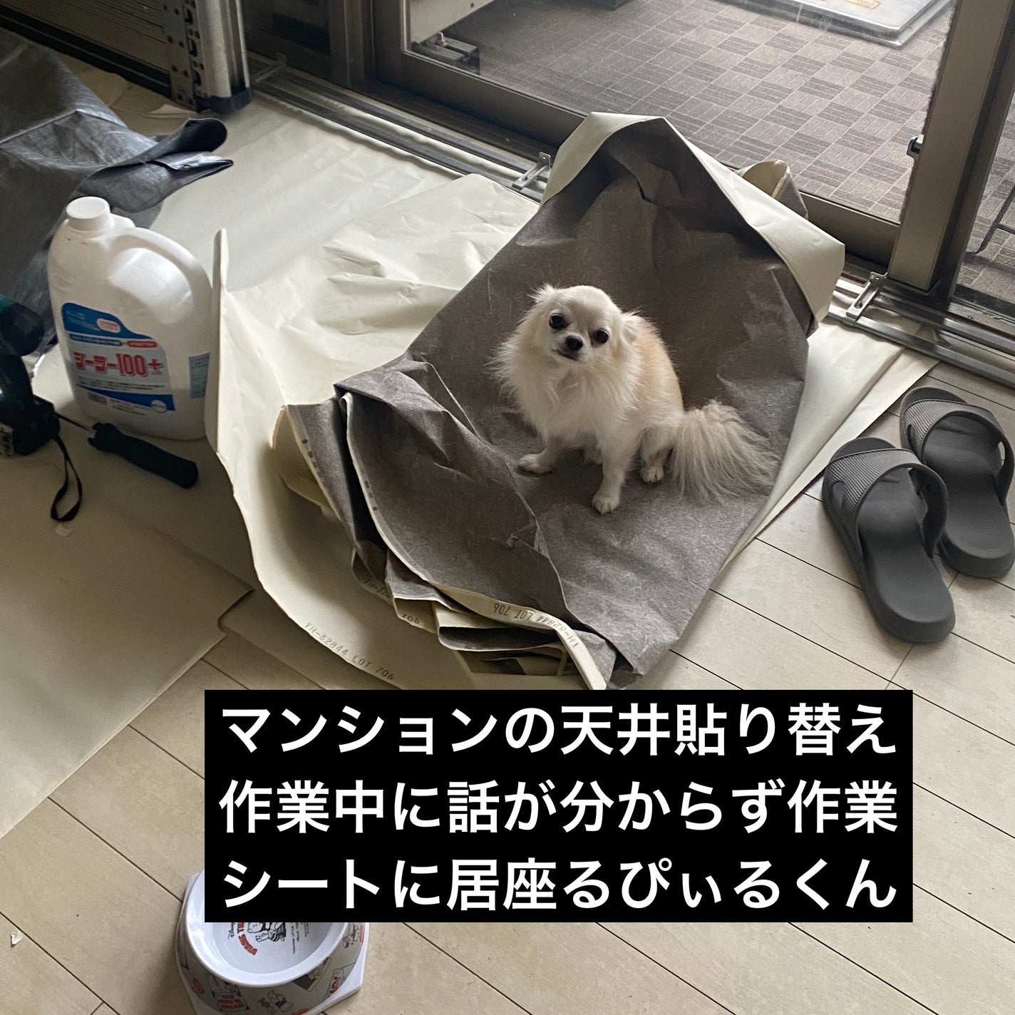 ムードインハンサーウォーターリキッドグロウ/hince/口紅を使ったクチコミ(8枚目)