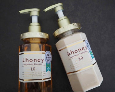 ディープモイスト シャンプー1.0／ヘアトリートメント2.0/&honey/シャンプー・コンディショナーを使ったクチコミ（1枚目）