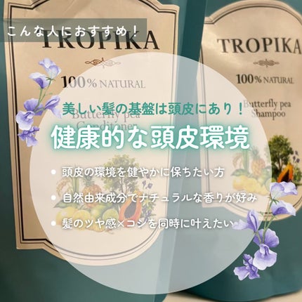 バタフライピーシャンプー/バタフライピーコンディショナー/TROPIKA/市販シャンプーを使ったクチコミ(5枚目)