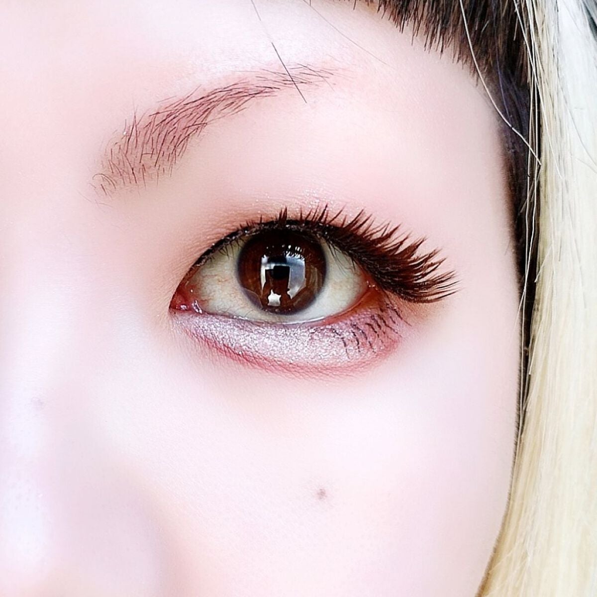 プロ アイパレット ミニ/CLIO/アイシャドウパレットを使ったクチコミ(6枚目)