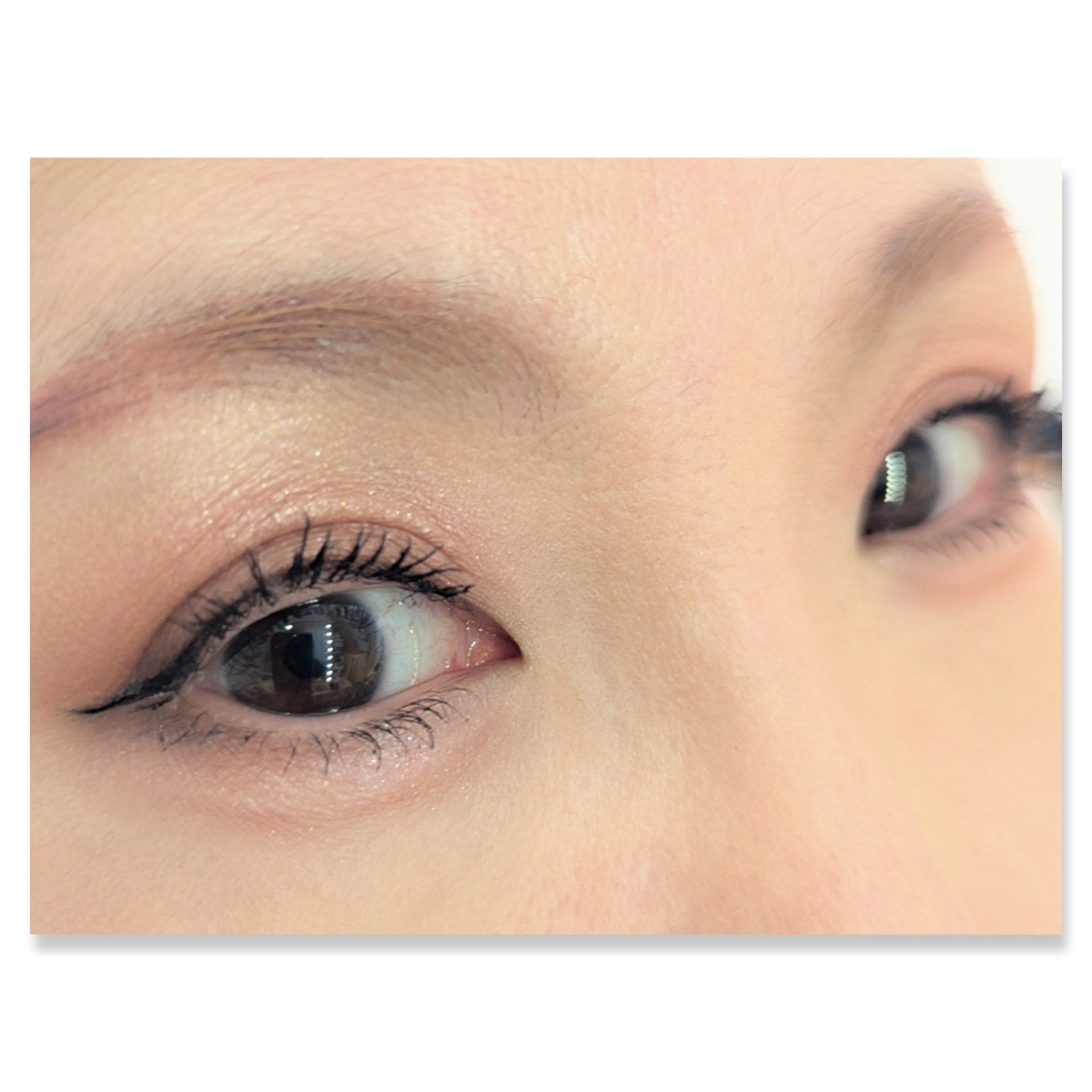 グラデーション アイシャドウ/ちふれ/アイシャドウパレットを使ったクチコミ（2枚目）