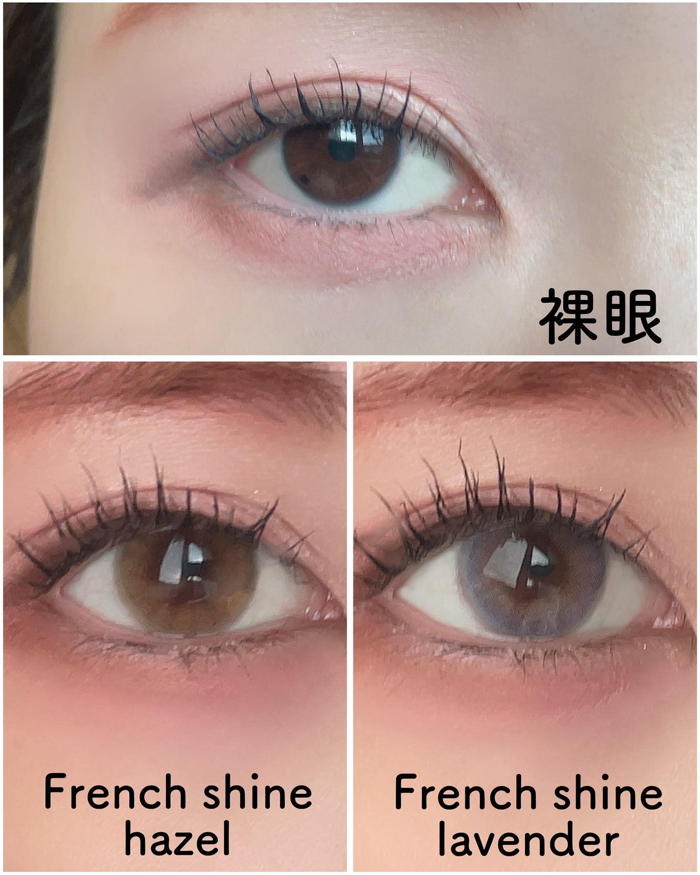 FrenchShine1day/OLENS/ワンデー(1DAY)カラコンを使ったクチコミ(4枚目)