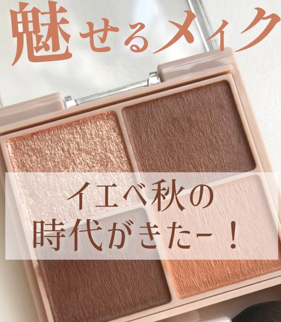 シルキースフレアイズ(マットタイプ)/キャンメイク/アイシャドウパレットを使ったクチコミ(1枚目)