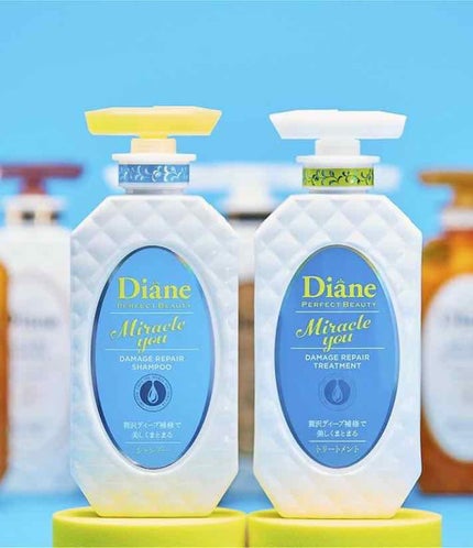 ãã©ã¯ã«ãŠãŒ/ã·ã£ã³ããŒïŒããªãŒãã¡ã³ã/ãã€ã¢ã³/åžè²©ã·ã£ã³ããŒã䜿ã£ãã¯ãã³ãïŒ1æç®ïŒ