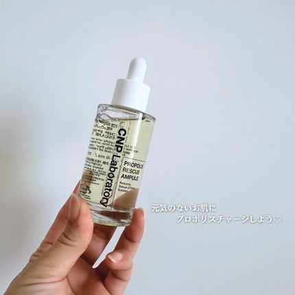 プロポリスレスキューアンプル 50ml/CNP Laboratory/美容液を使ったクチコミ(5枚目)