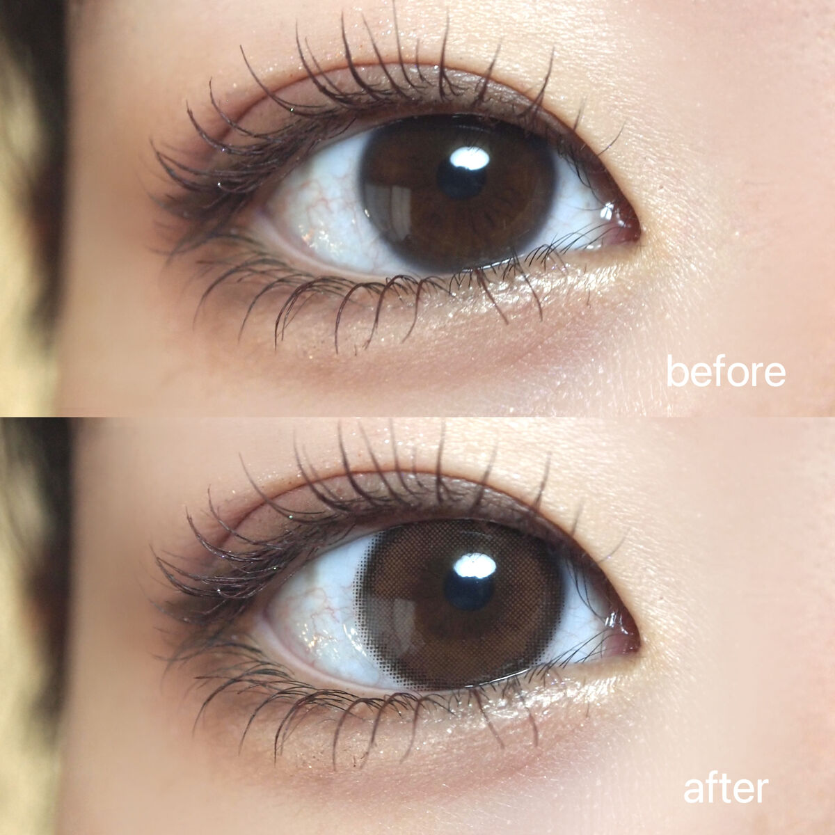 ViVi Ring 1day チョコ/OLENS/ワンデー（１DAY）カラコンを使ったクチコミ（2枚目）