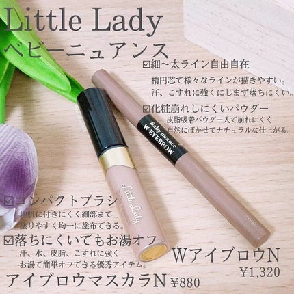 ベビーニュアンス WアイブロウN/リトルレディ/パウダーアイブロウを使ったクチコミ(2枚目)