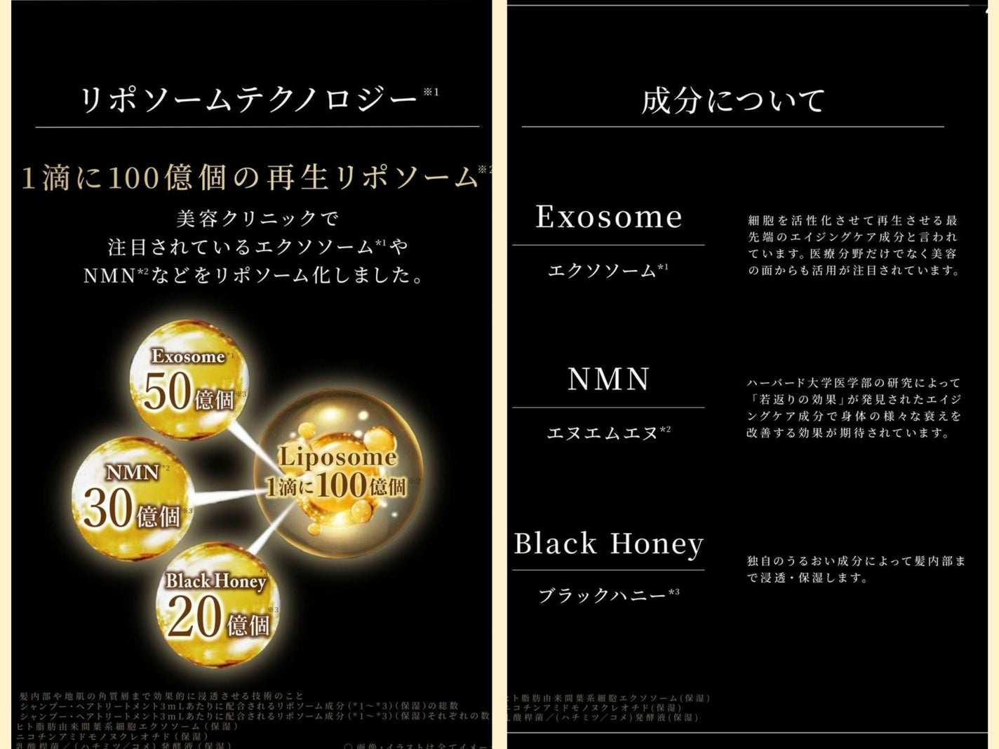 DRハニー ブラックビー モイスト リペア シャンプー/ヘアトリートメント/DR.HONEY/市販シャンプーを使ったクチコミ(4枚目)