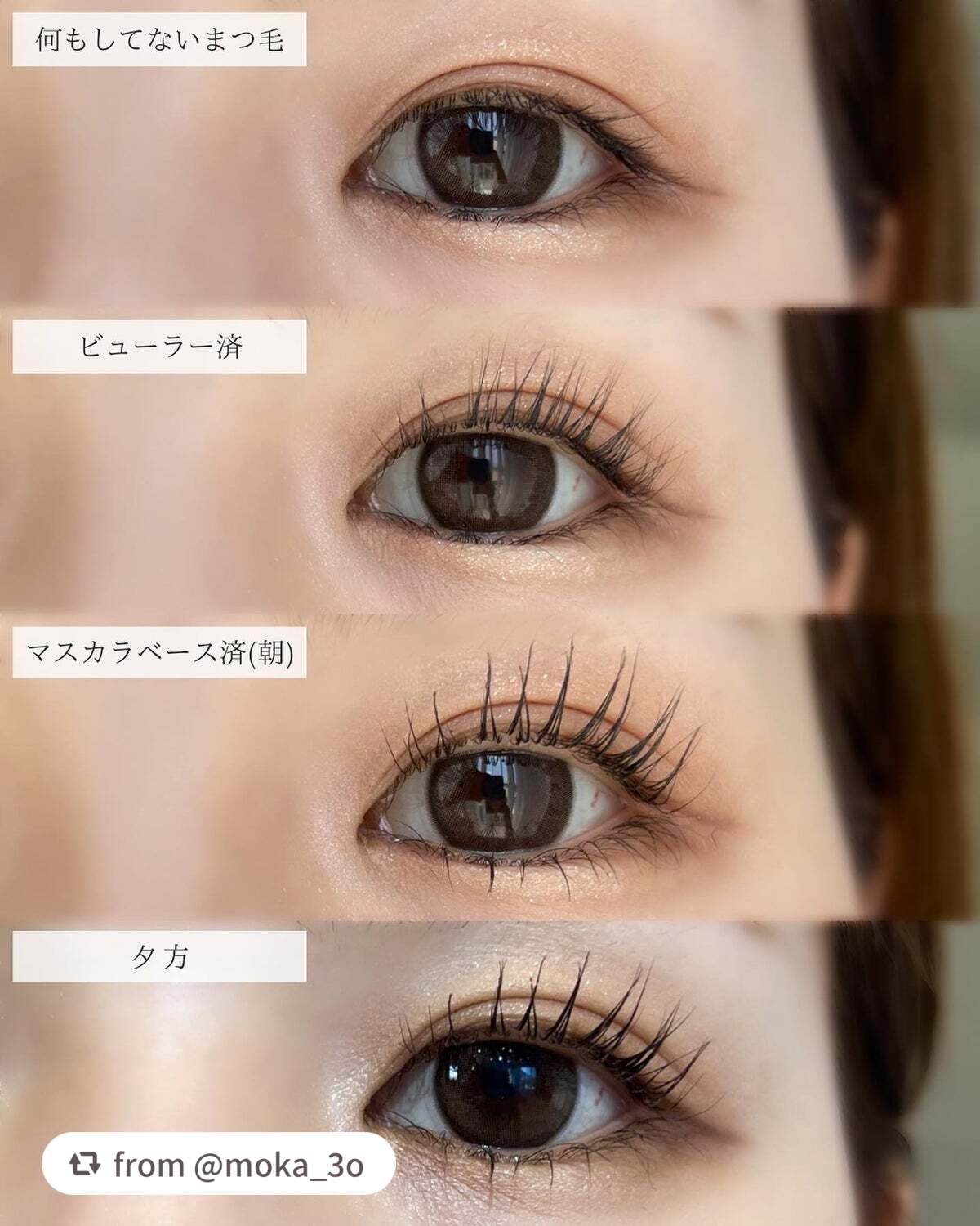 エテュセ アイエディション (マスカラベース)/ettusais/マスカラ下地を使ったクチコミ(5枚目)