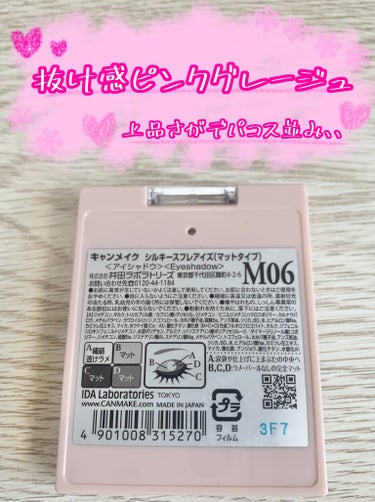 シルキースフレアイズ（マットタイプ） M06 リマグレージュ/キャンメイク/アイシャドウパレットを使ったクチコミ（2枚目）