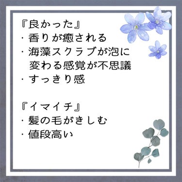 ジェントル スクラブ クレンズ/ines/シャンプー・コンディショナーを使ったクチコミ（3枚目）