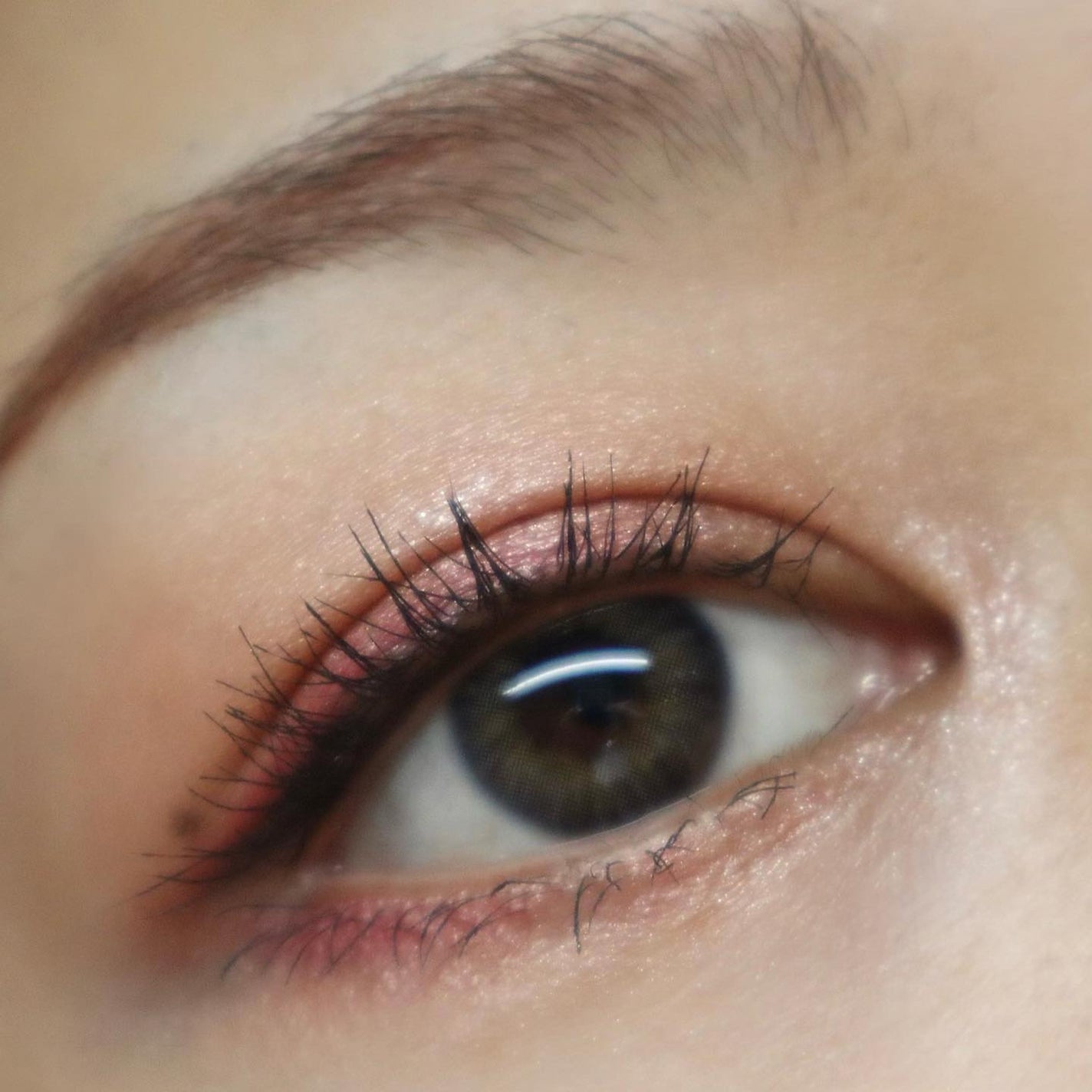 デザイニング カラー アイズ/SUQQU/アイシャドウパレットを使ったクチコミ(3枚目)