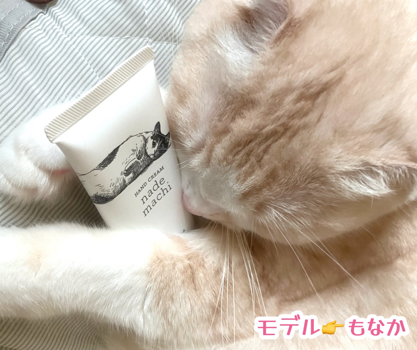 もなか on LIPS 「なでまち(@celbest.neko)ニャンコに配慮して作った..」(7枚目)