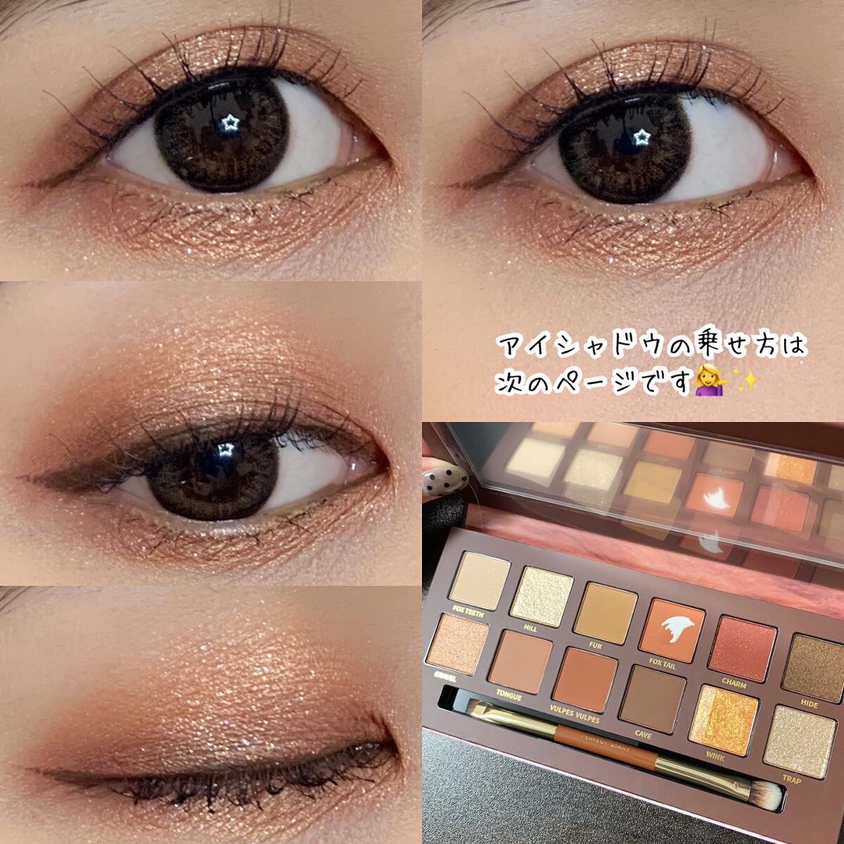 エクスプローラ12色 動物アイシャドウパレット/PERFECT DIARY/アイシャドウパレットを使ったクチコミ（1枚目）