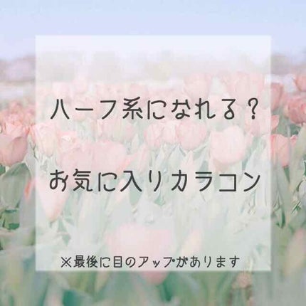 デコラティブアイズ ヴェール/Decorative Eyes/カラーコンタクトレンズを使ったクチコミ(1枚目)