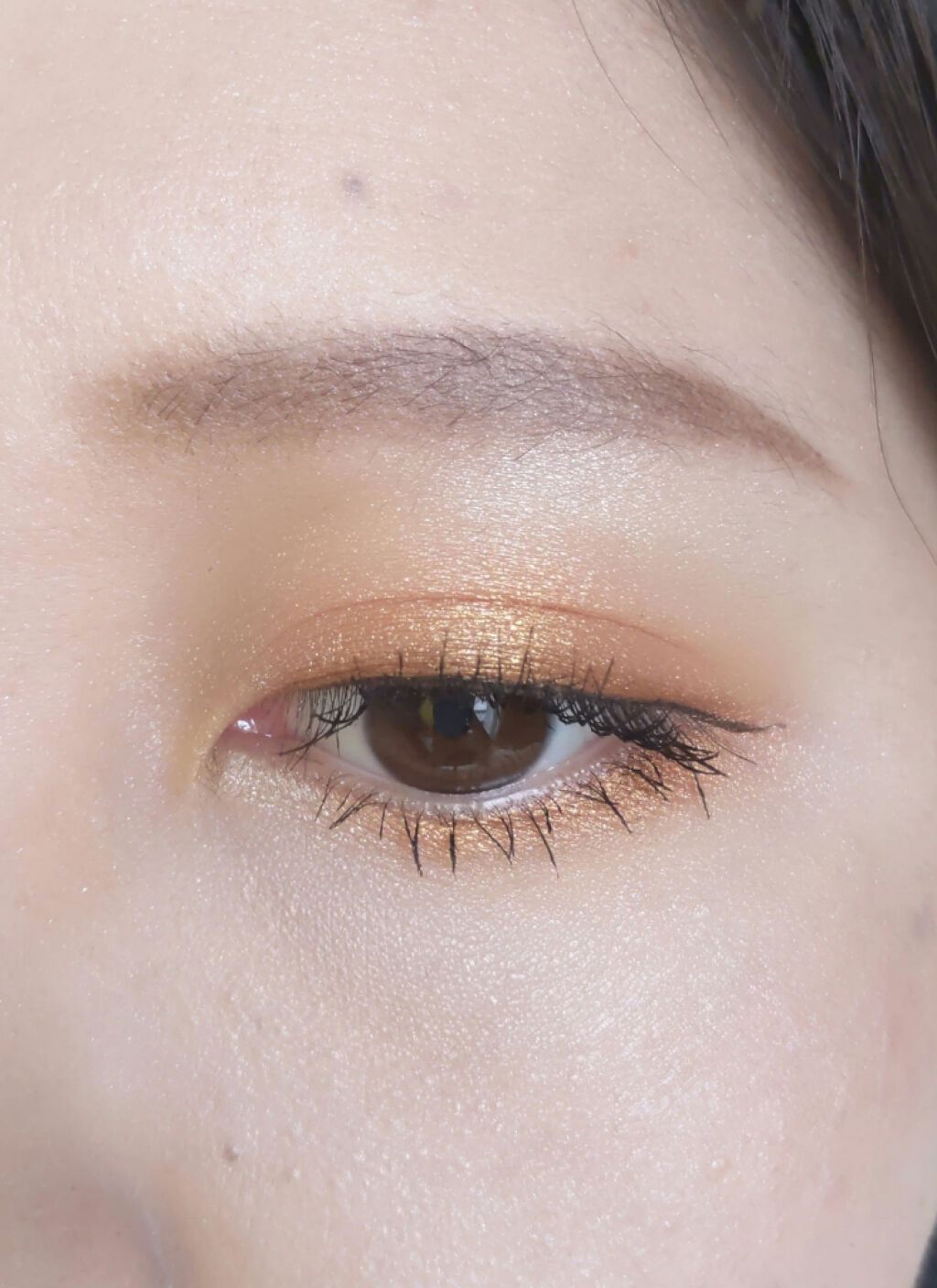 サンク クルール<ワイルド アース>/Dior/アイシャドウパレットを使ったクチコミ(3枚目)