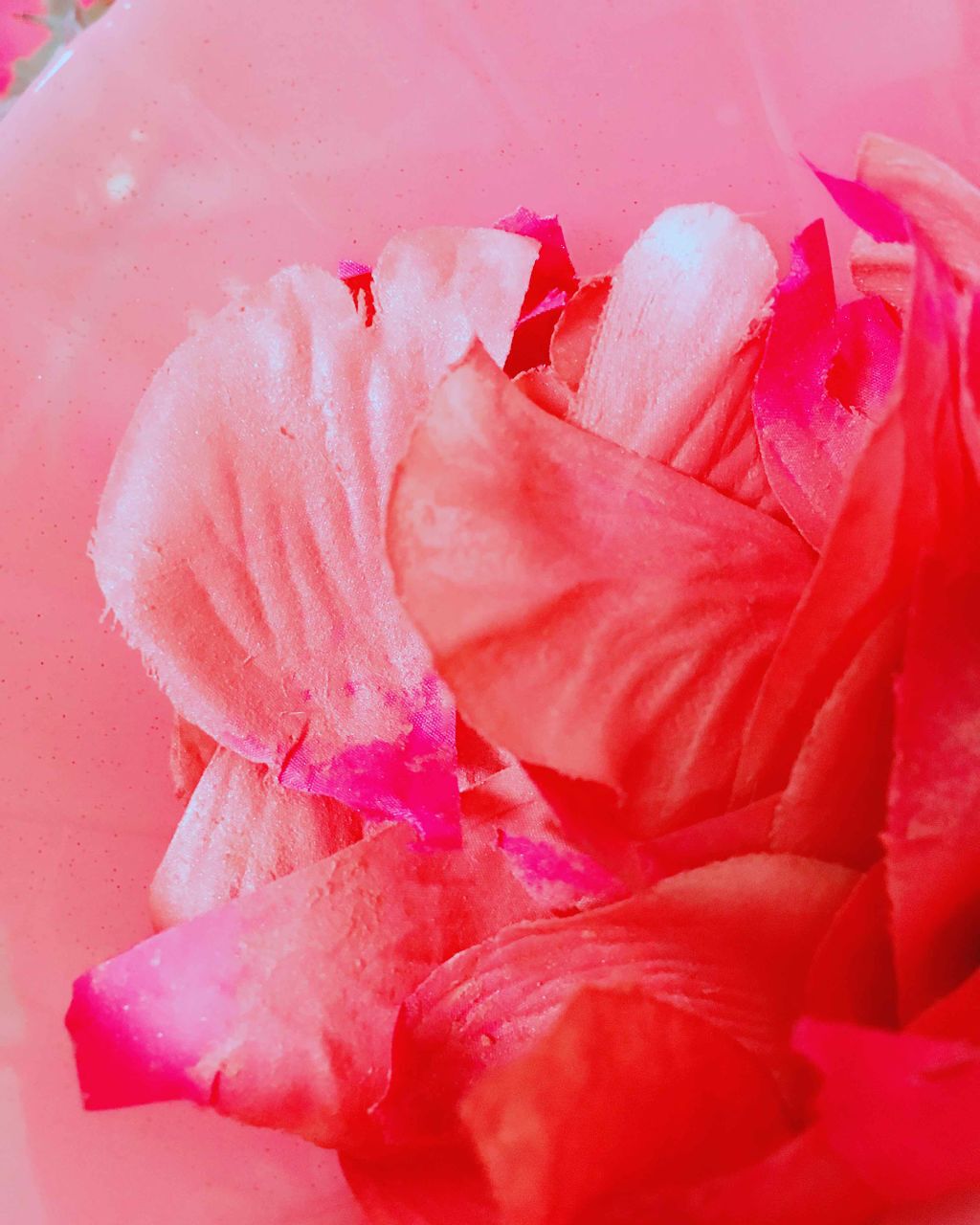 ちゃきこ on LIPS 「ラデュレの花びらチークが欲しくてでも高いので作りました🌹入れ物..」(3枚目)