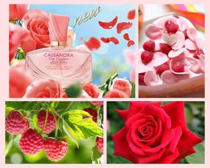 カッサンドラ ローズ フランボワーズ オードパルファム/ジャンヌ・アルテス/香水(レディース)を使ったクチコミ(1枚目)