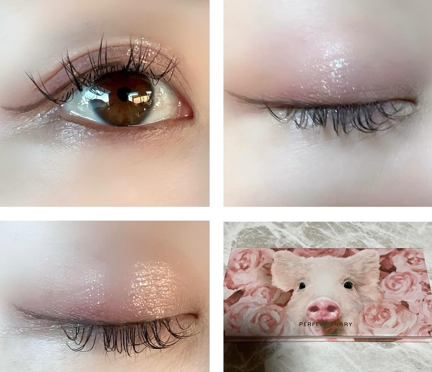 エクスプローラ12色 動物アイシャドウパレット/PERFECT DIARY/アイシャドウパレットを使ったクチコミ（1枚目）