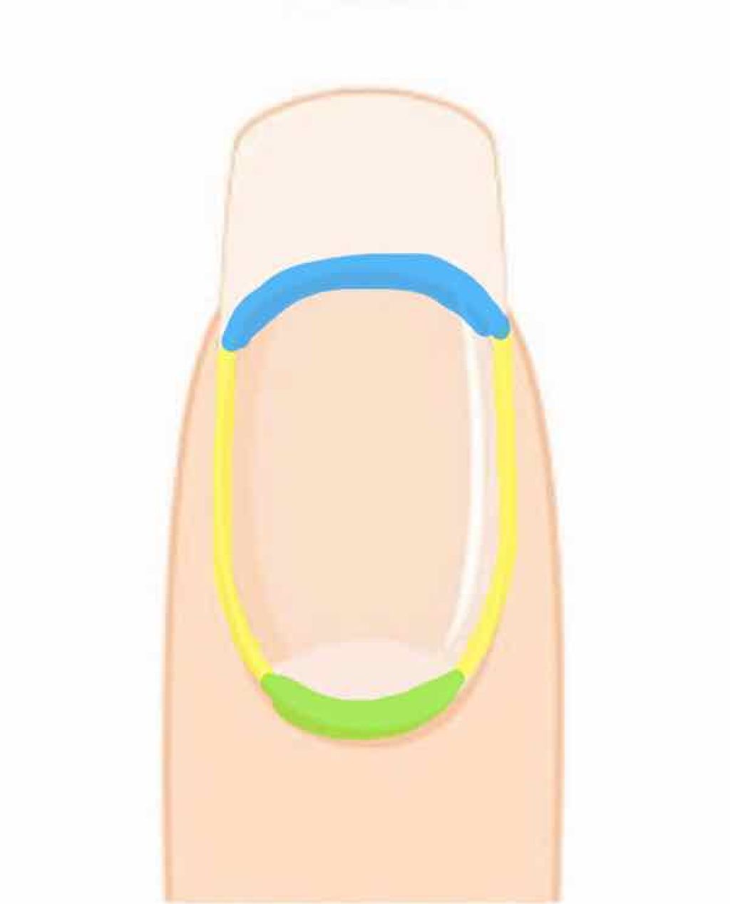 ディアフローラ オイルイン ハンド&ネイルクリーム ホワイトジャスミン/マンダム/ハンドクリームを使ったクチコミ(2枚目)