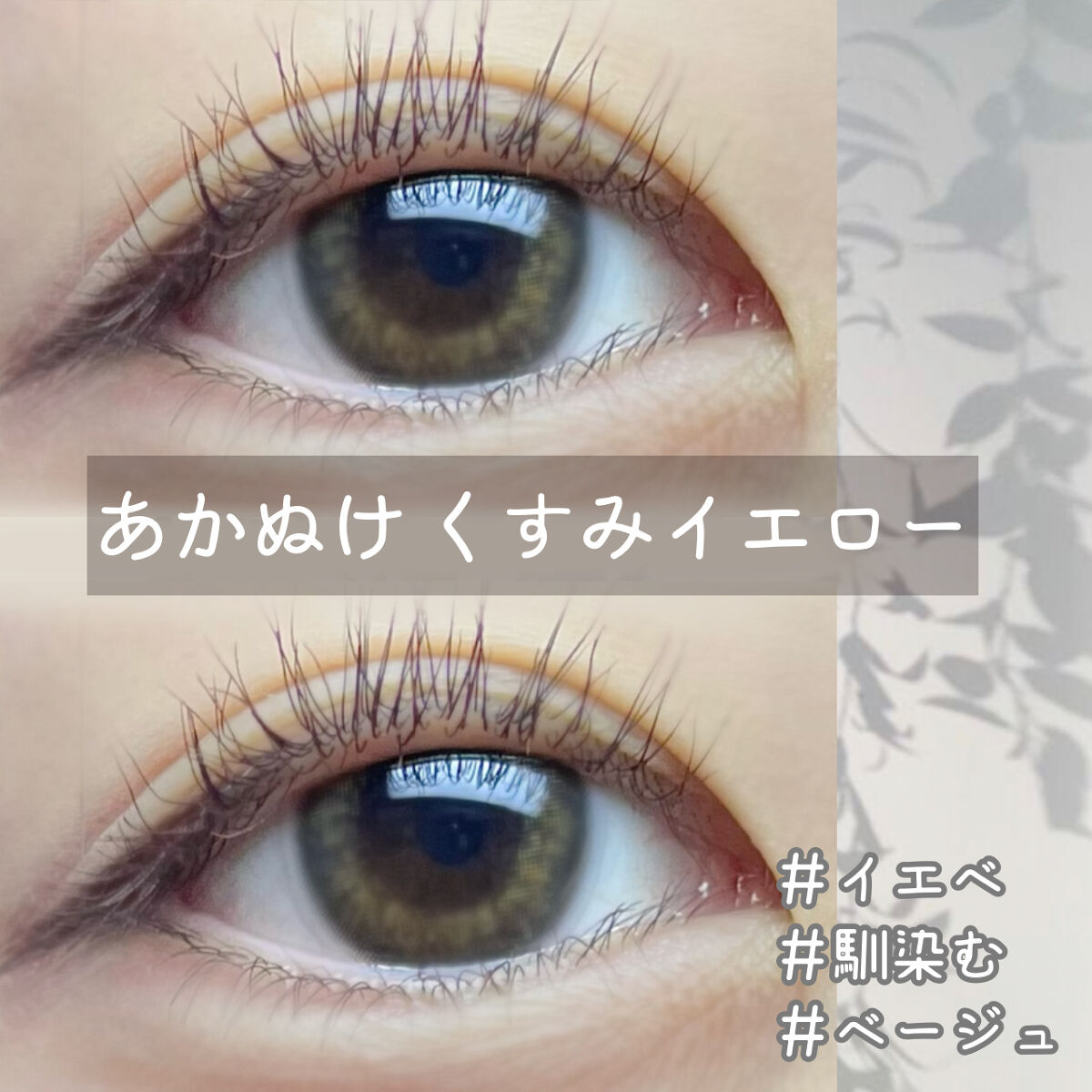  １DAY Refrear elebelle/Refrear/ワンデー（１DAY）カラコンを使ったクチコミ（1枚目）