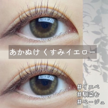 1DAY Refrear elebelle/Refrear/ワンデー(1DAY)カラコンを使ったクチコミ(1枚目)