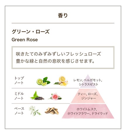 ヘッドスクラブ グリーン・ローズ/SABON/ヘッドスクラブを使ったクチコミ(2枚目)